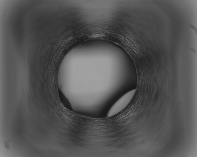 X0000093171441200709261046