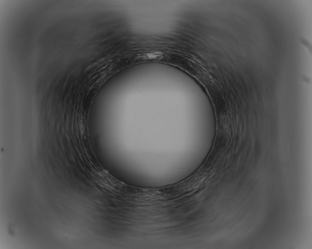 X0000093171442200709261046