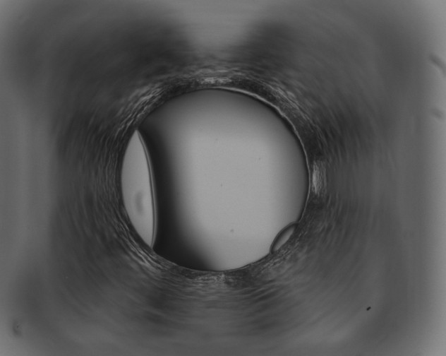 X0000093171444200709261046