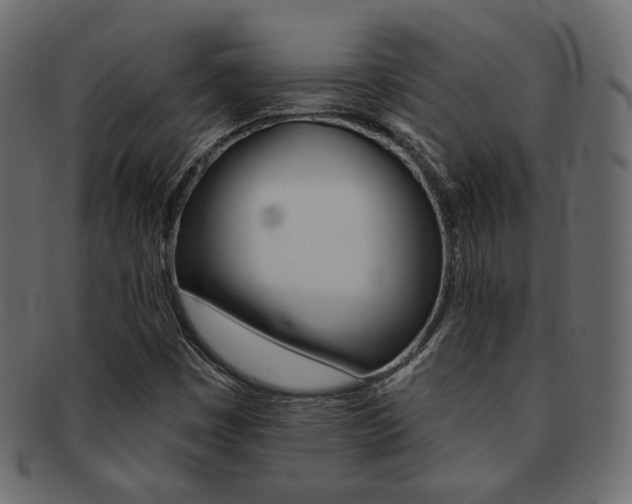 X0000093171449200709261046