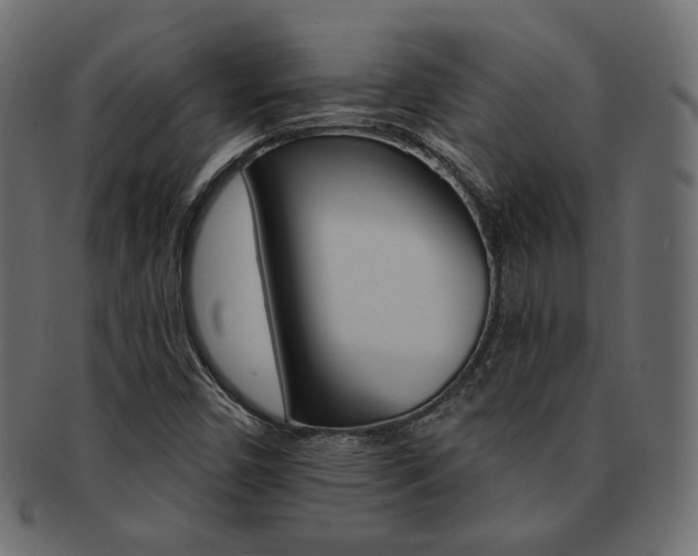 X0000093171450200709261046