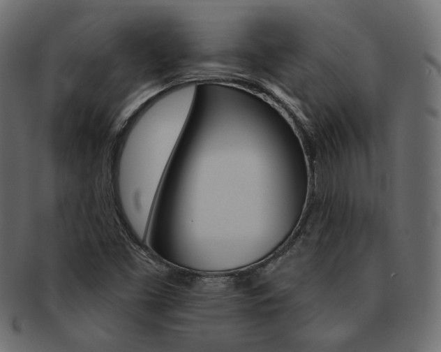 X0000093171453200709261046