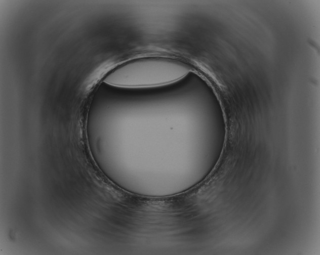 X0000093171455200709261046