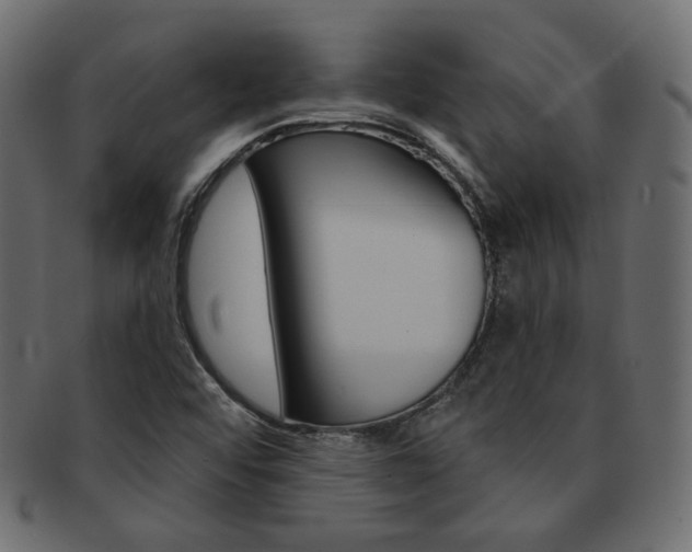 X0000093171456200709261046