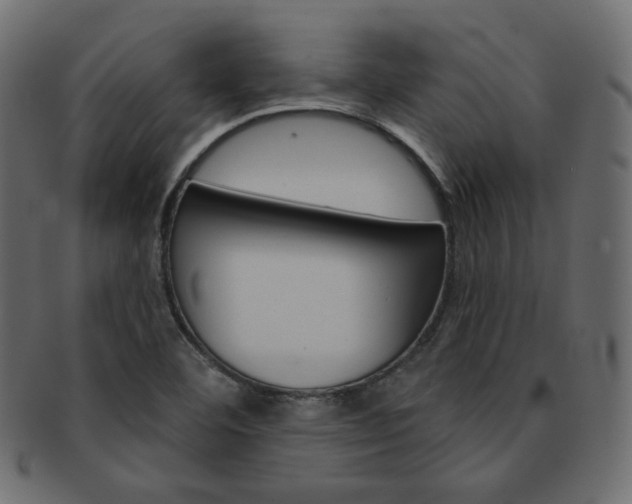 X0000093171460200709261046
