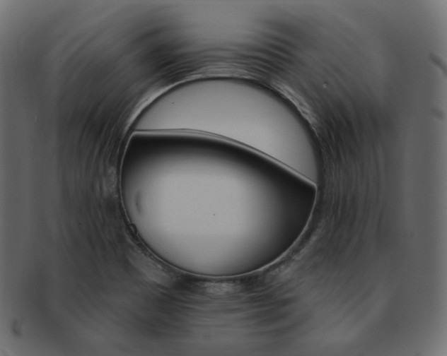 X0000093171465200709261046