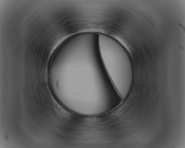 X0000093171468200709261046