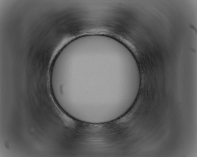 X0000093171470200709261046