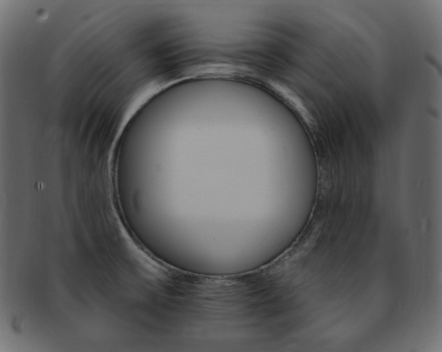 X0000093171475200709261046