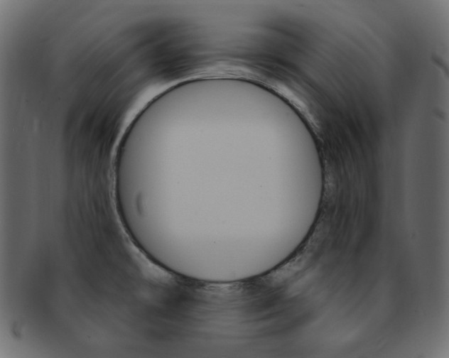 X0000093171478200709261046