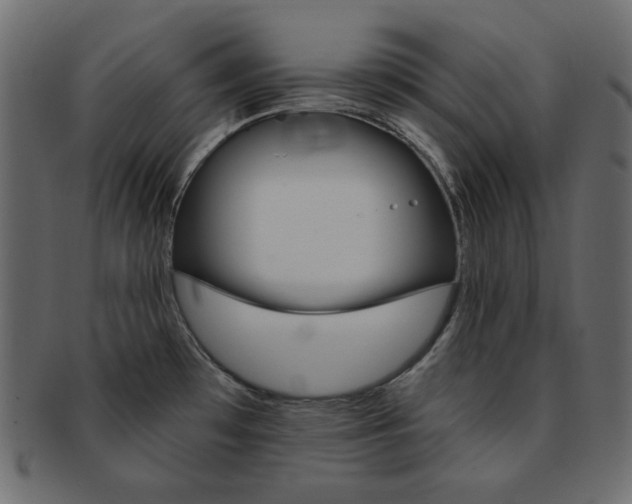 X0000093171481200709261046