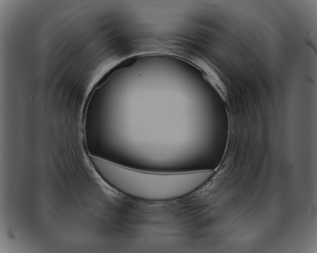 X0000093171485200709261046