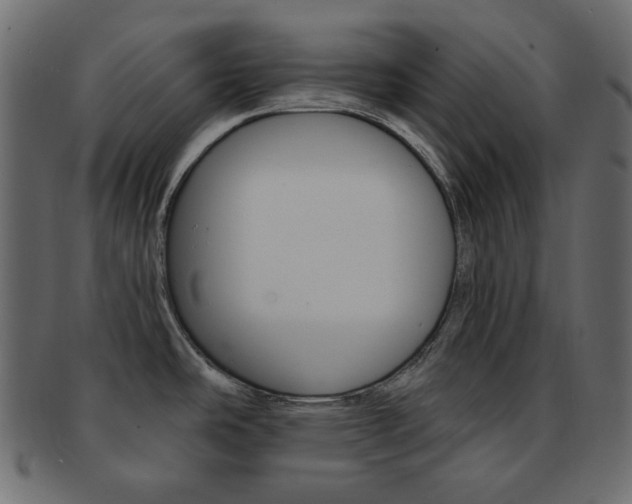 X0000093171486200709261046