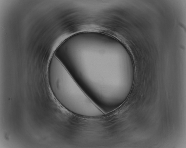X0000093171488200709261046
