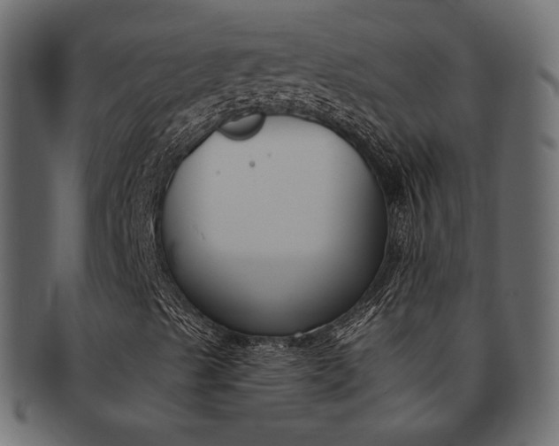X0000093171489200709261045