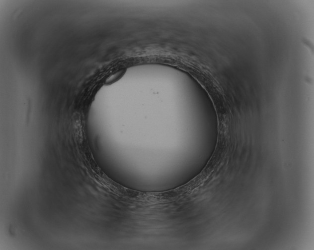 X0000093171493200709261045