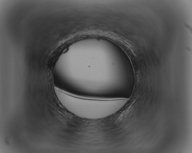 X0000093171494200709261045