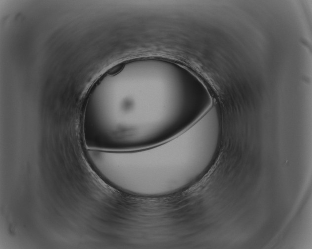X0000093171500200709261045