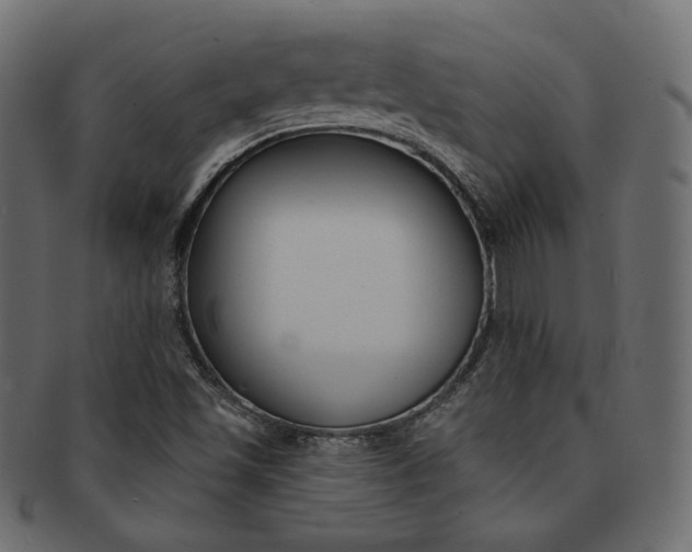 X0000093171501200709261045