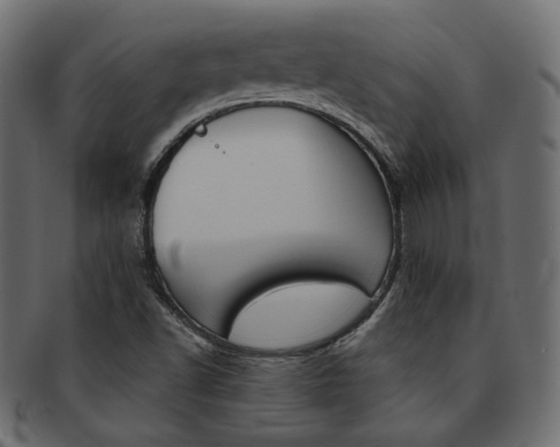 X0000093171502200709261045