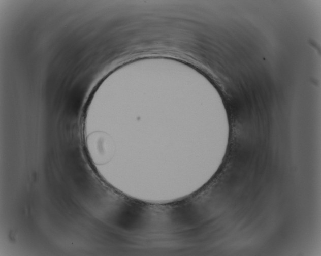 X0000093171514200709261046