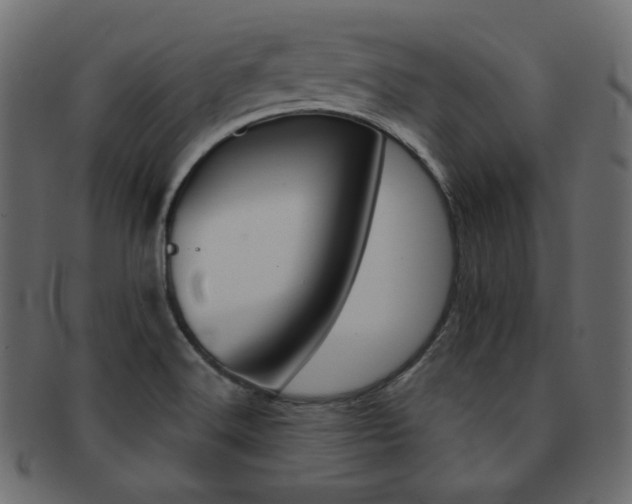 X0000093171516200709261046