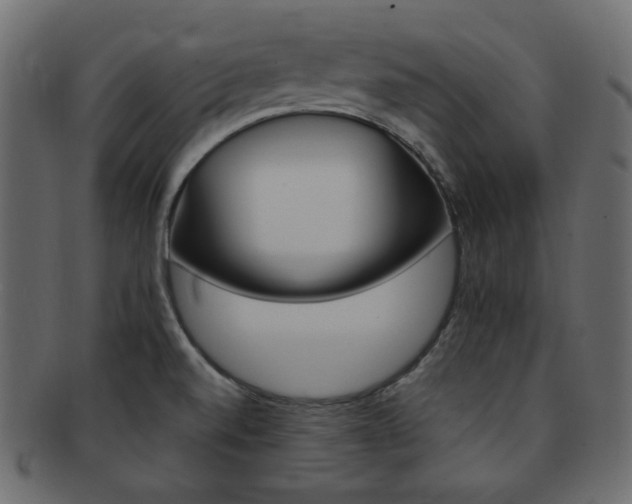 X0000093171520200709261046