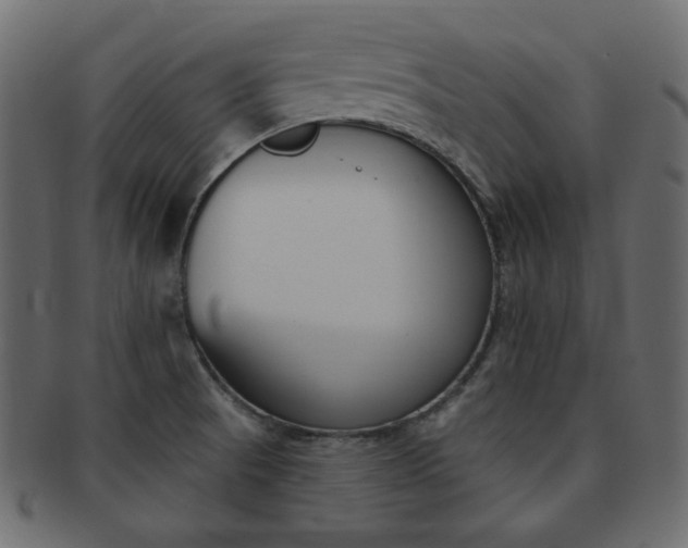 X0000093171521200709261046