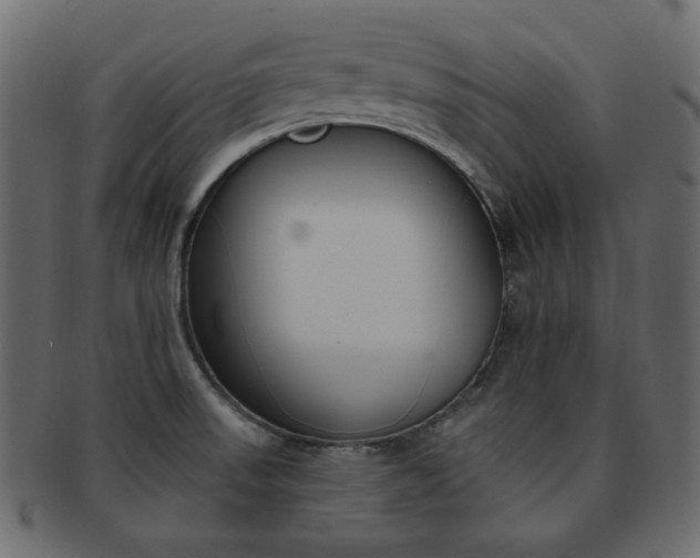 X0000093171523200709261046