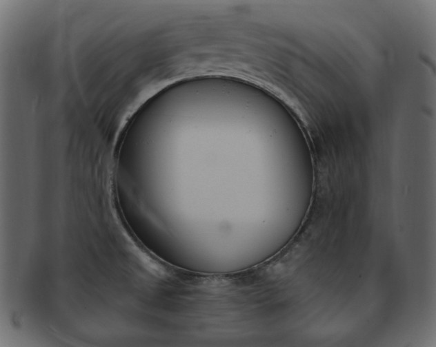 X0000093171525200709261046