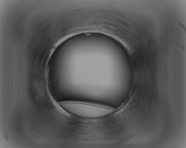X0000093171526200709261046
