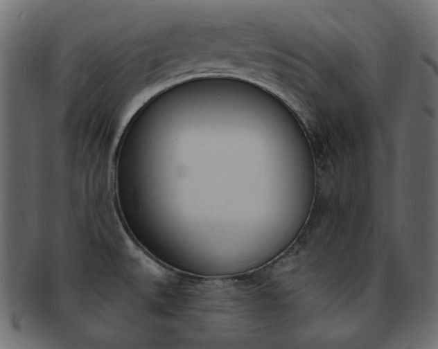 X0000093171527200709261046