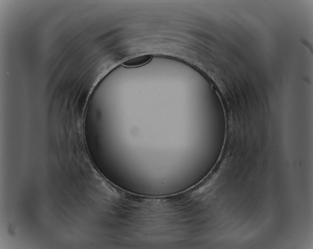 X0000093171529200709261046