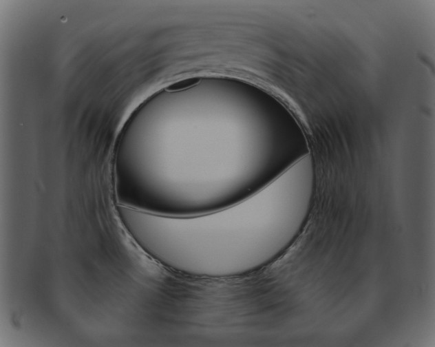 X0000093171530200709261046