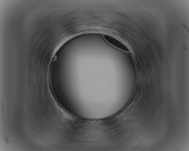 X0000093171533200709261046