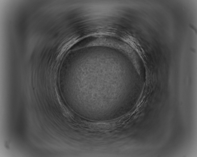 X0000093170001200709261538