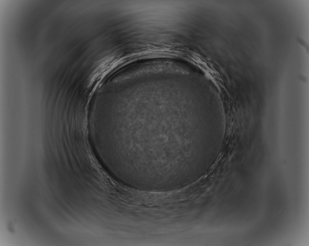 X0000093170002200709261538