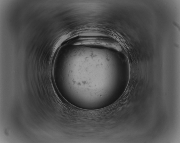X0000093170003200709261538