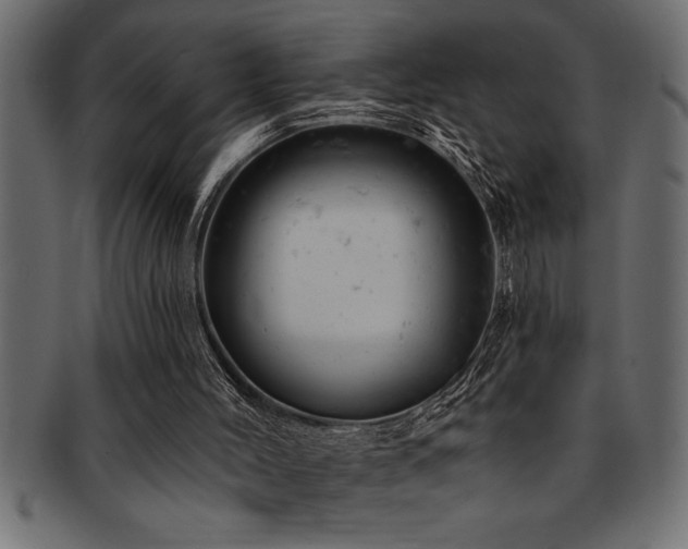 X0000093170004200709261538