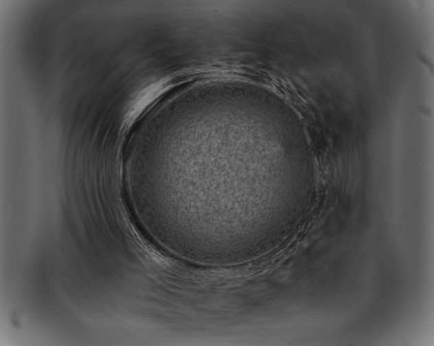 X0000093170005200709261538