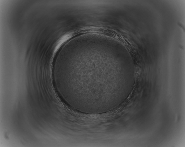 X0000093170006200709261538
