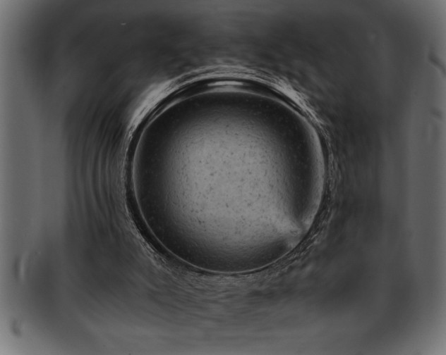 X0000093170007200709261538