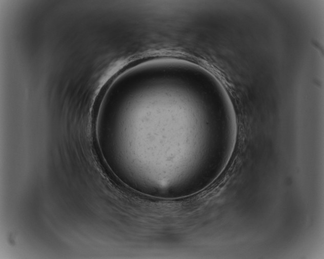 X0000093170008200709261538