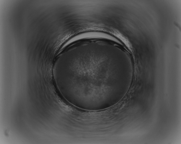 X0000093170009200709261538