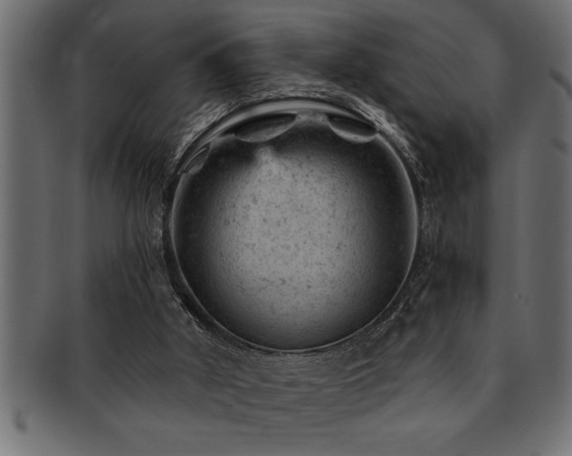 X0000093170010200709261538