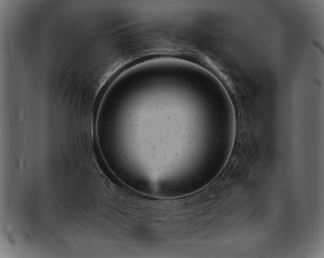 X0000093170011200709261538