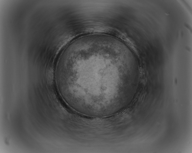X0000093170012200709261538