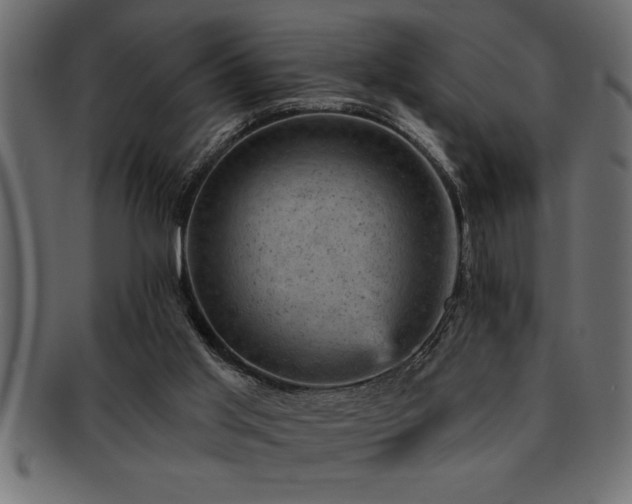 X0000093170013200709261538