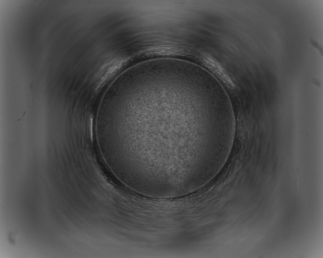 X0000093170014200709261538