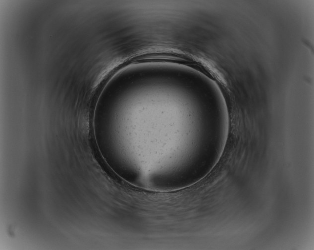 X0000093170015200709261537